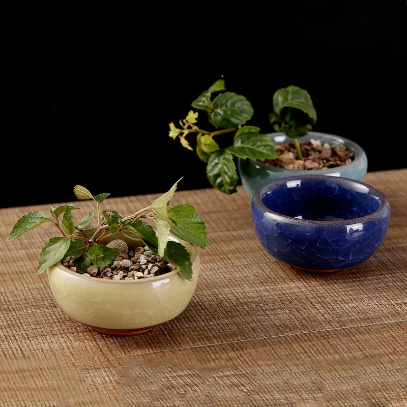 Keramik -Tee -Set Teetasse