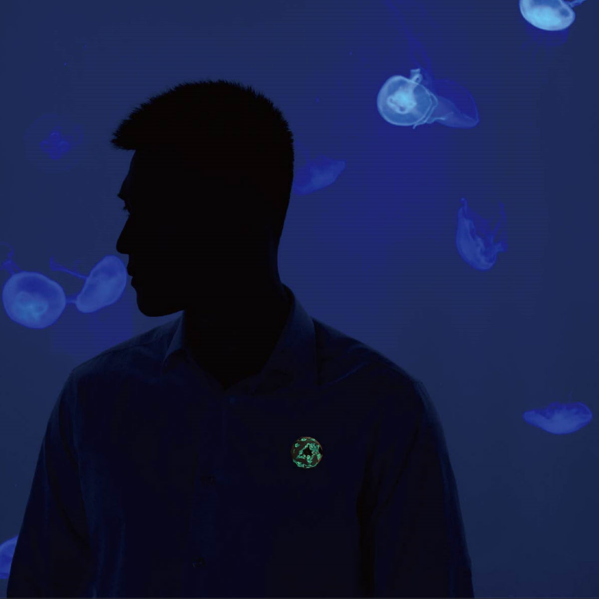 Beluga Narwal Designer Original Brosche Whale Abzeichen Ehepaar Luminöser Schmuck