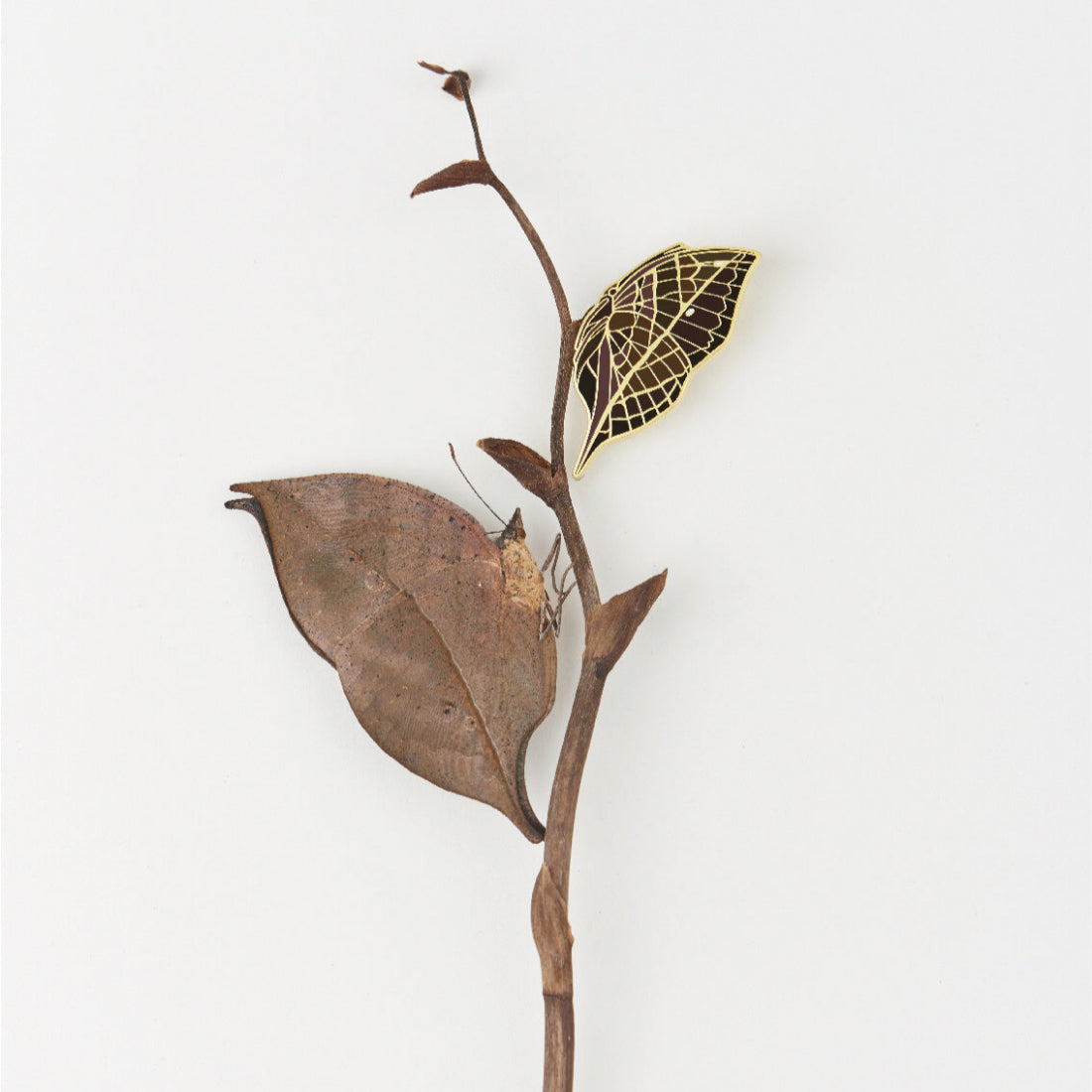 Toter Blatt Schmetterling Brosche kreatives Originalabzeichen