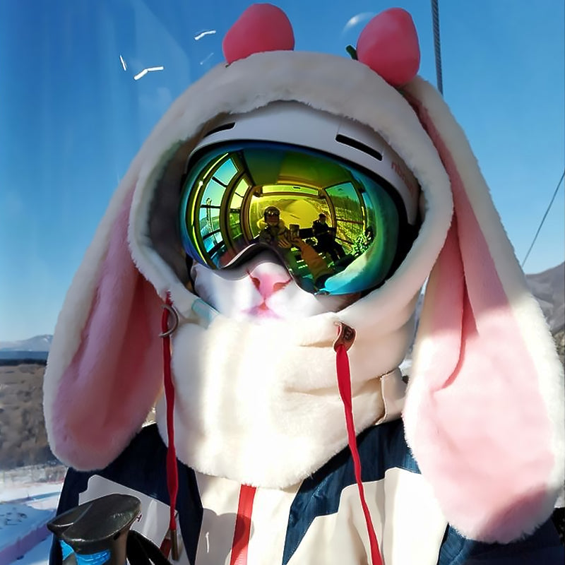 Ski Head Cover Face Mask Ski Hat Cover Decorative Ears