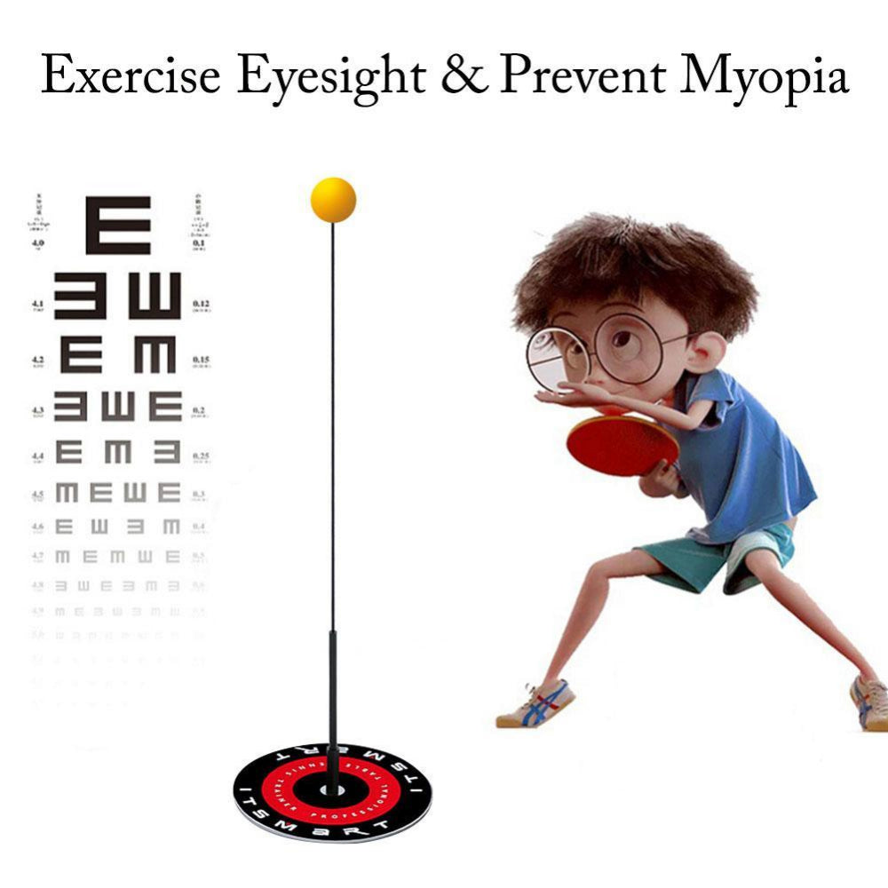 Table Tennis Training Device