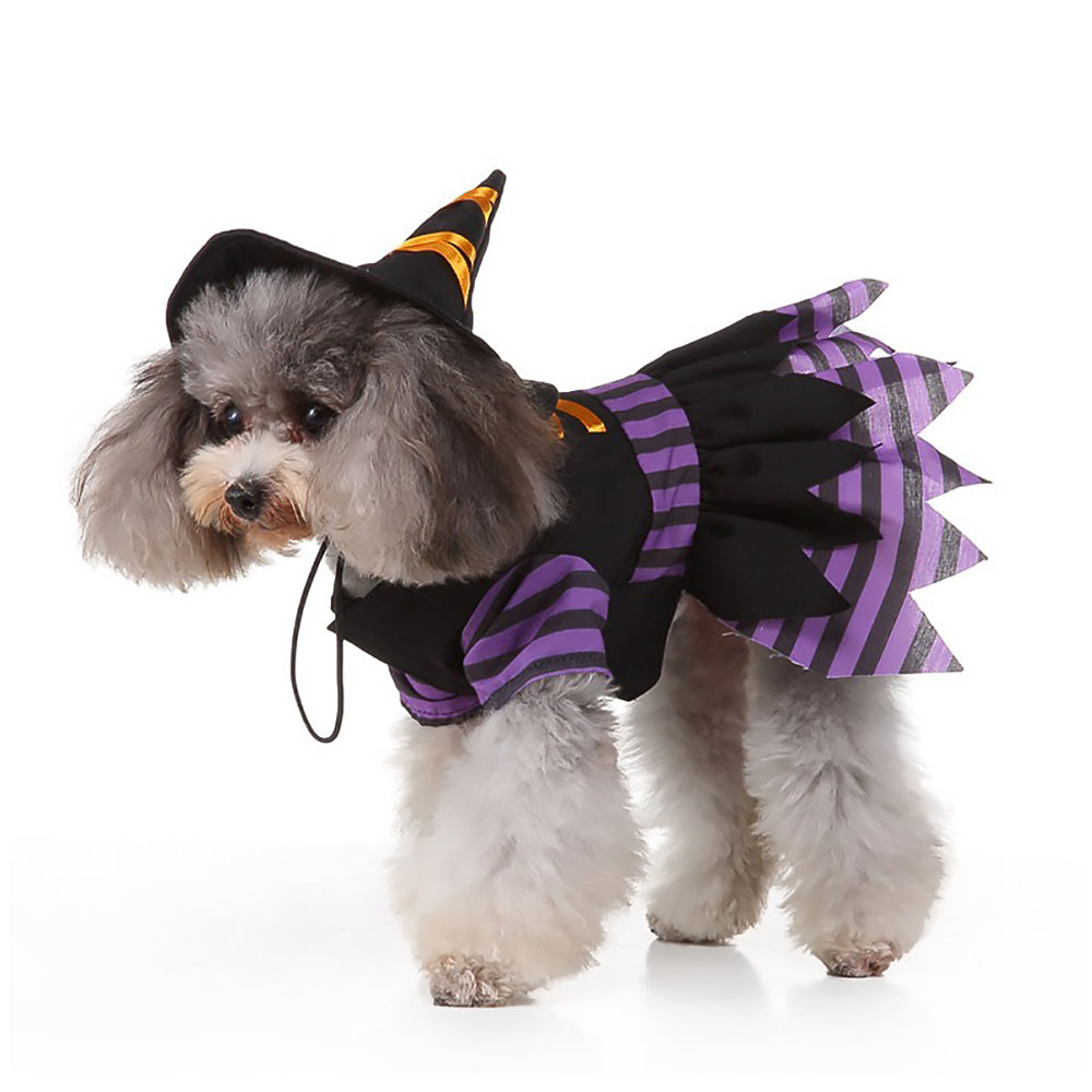 Halloween Witch Pet Costume Purple Dress for Dogs and Cats-4