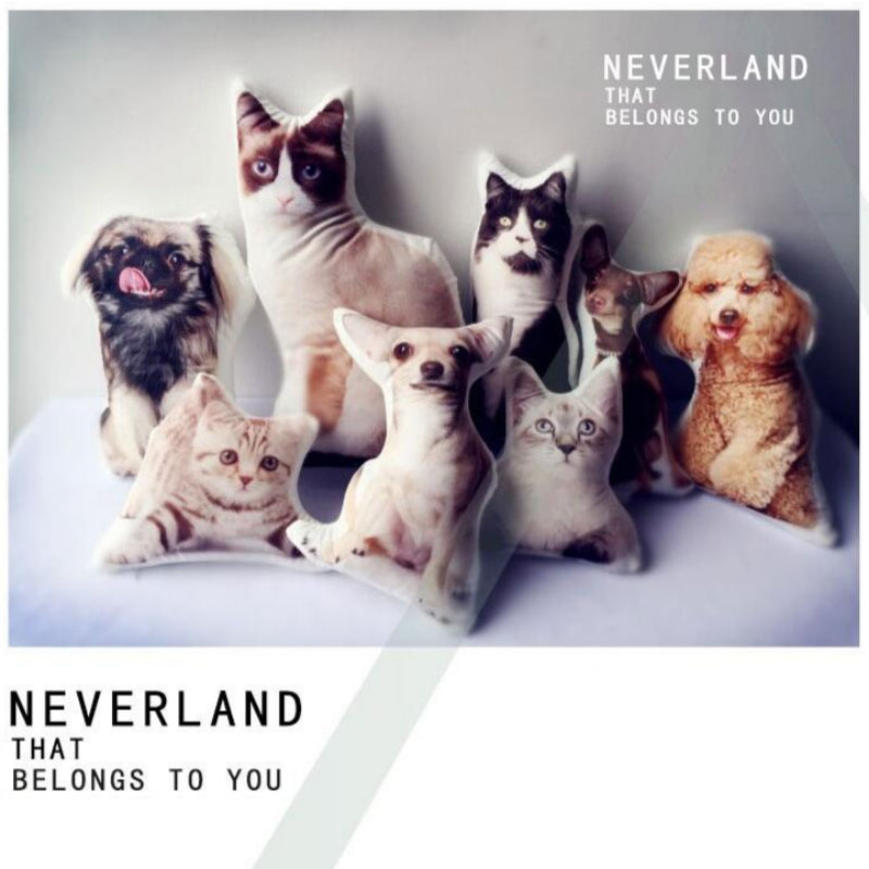 Customize Irregular Pillow Pet Pillow