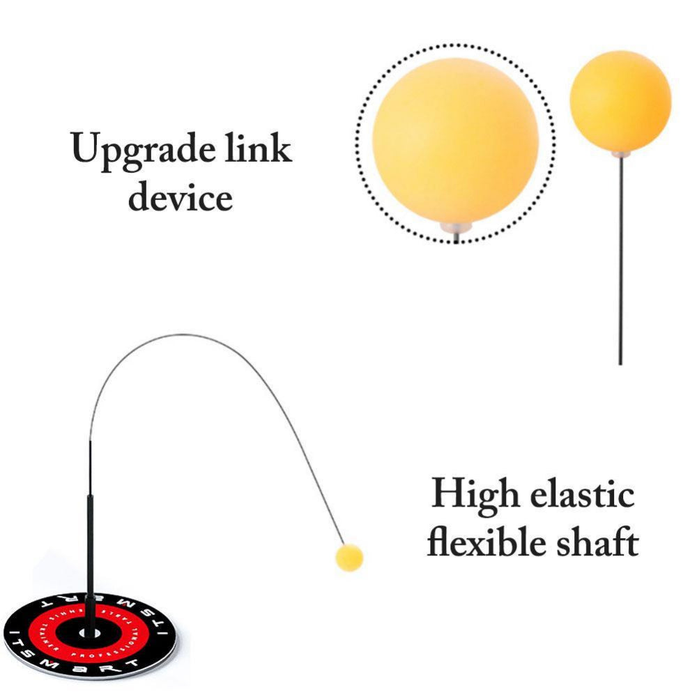 Table Tennis Training Device