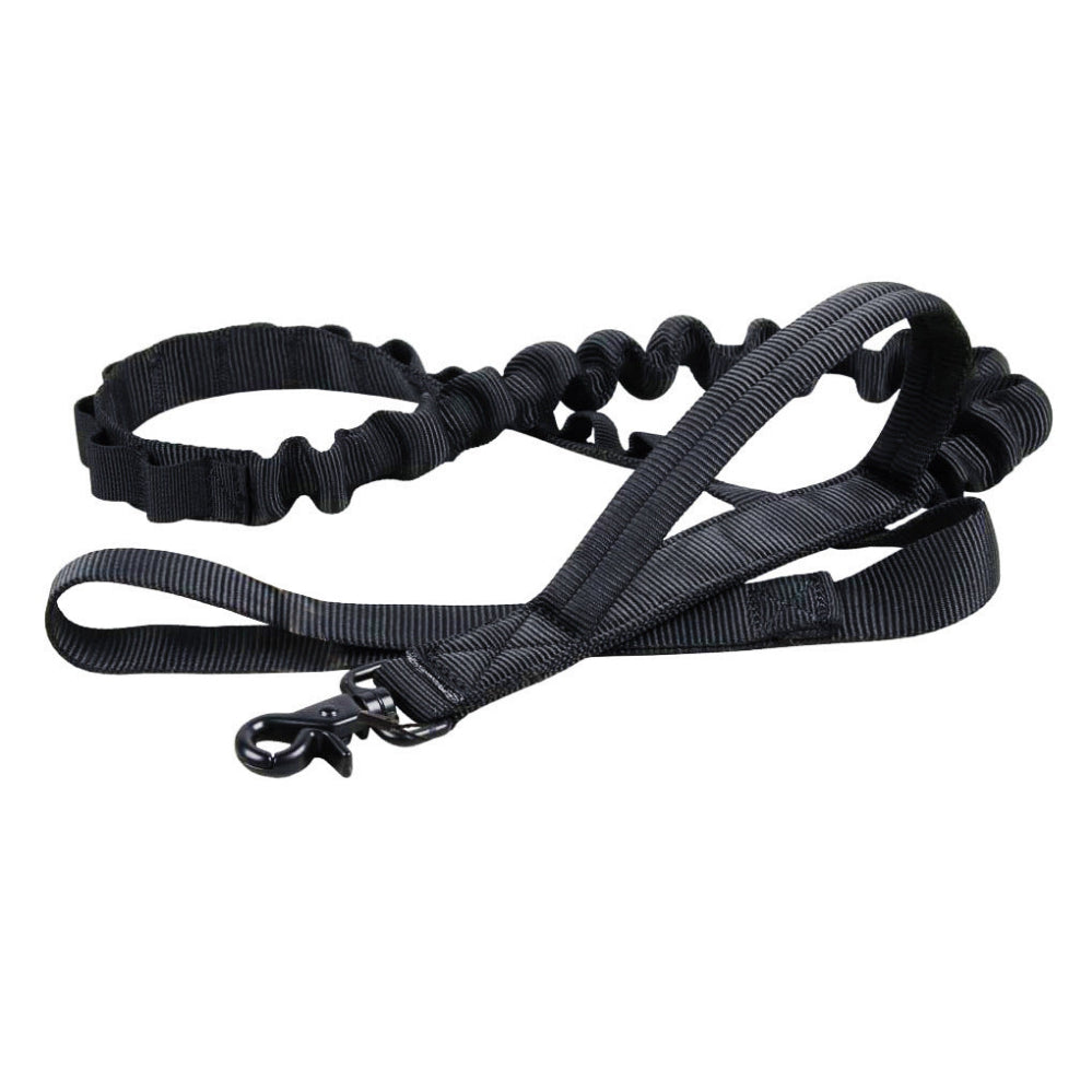 Military Adjustable Nylon Dog Collar and Leash