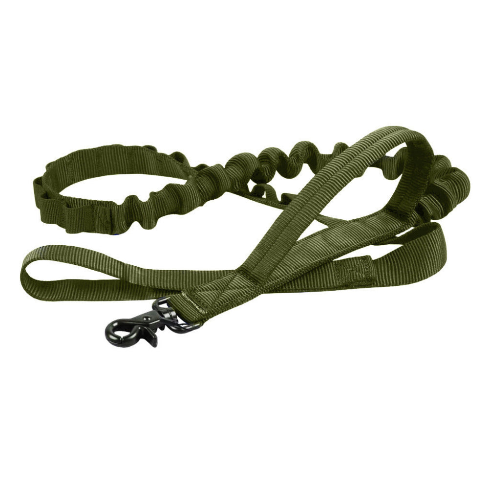Military Adjustable Nylon Dog Collar and Leash