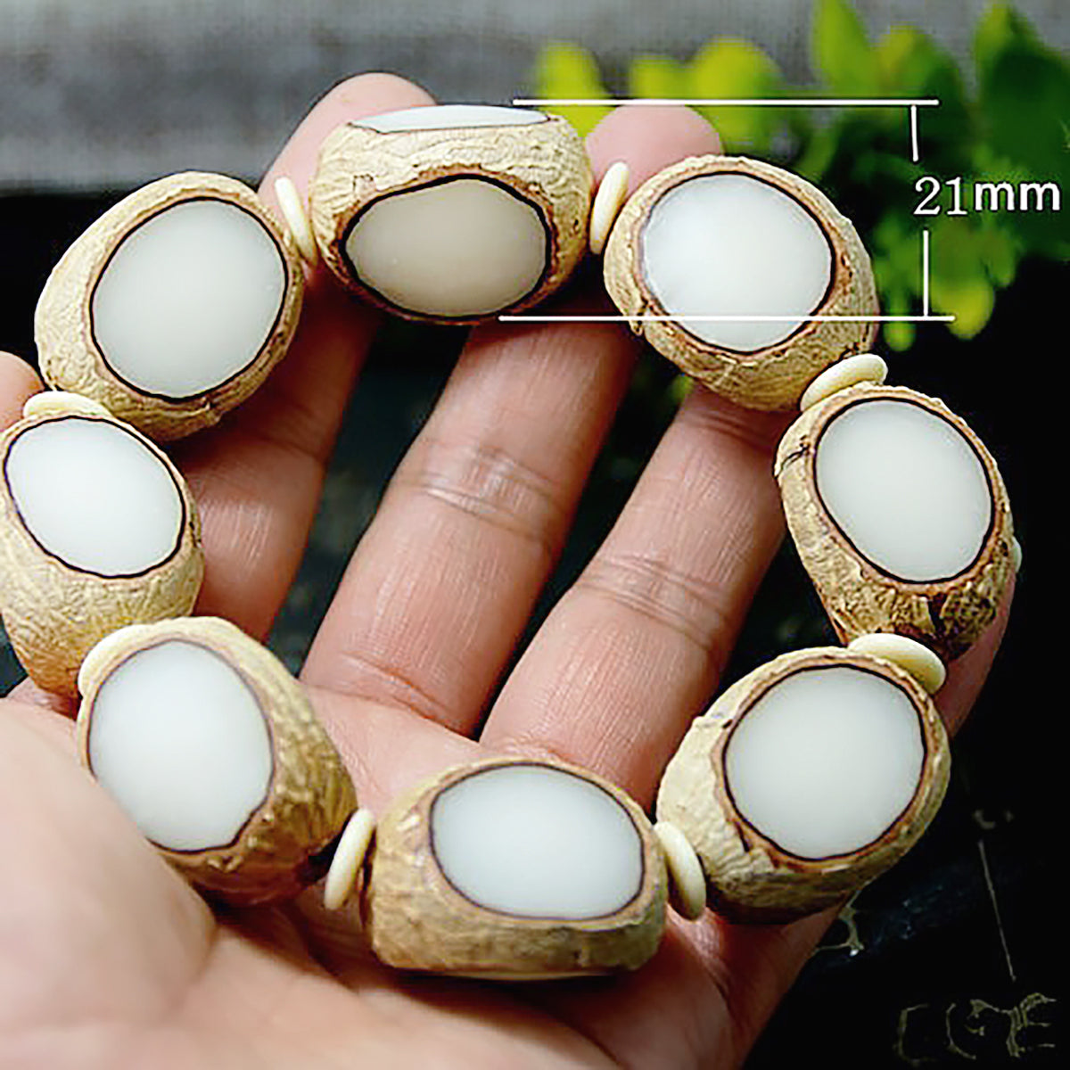 Natural Bodhi Seed Bracelet – Large Bodhi Bead Stretch Bracelet for Men & Women-5