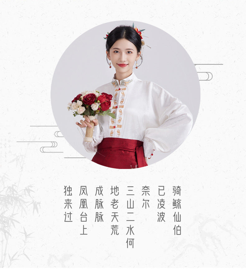 Qingyu Horse Gesichtsrock neuer chinesischer Ming Hanfu Frauen täglich Pendelpendel Hanfu Modifizierter Rock Erwachsener Pferdegesichtsrock für Erwachsene