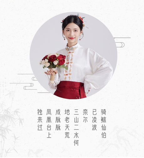 Qingyu Horse Gesichtsrock neuer chinesischer Ming Hanfu Frauen täglich Pendelpendel Hanfu Modifizierter Rock Erwachsener Pferdegesichtsrock für Erwachsene