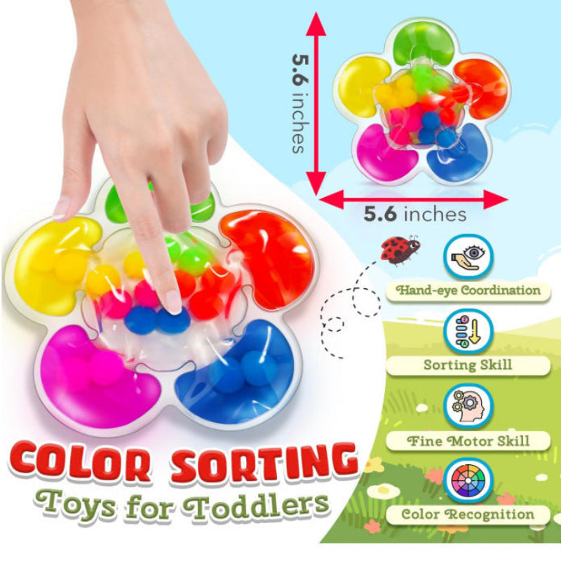 Color Classification Sensory Toys Matching Toys Children's Educational Toys