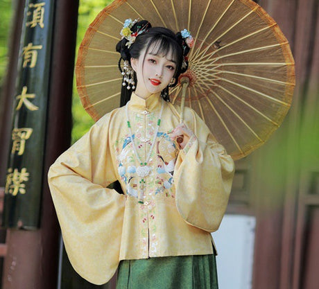 Ming-Dynastie Frauen Hanfu neu