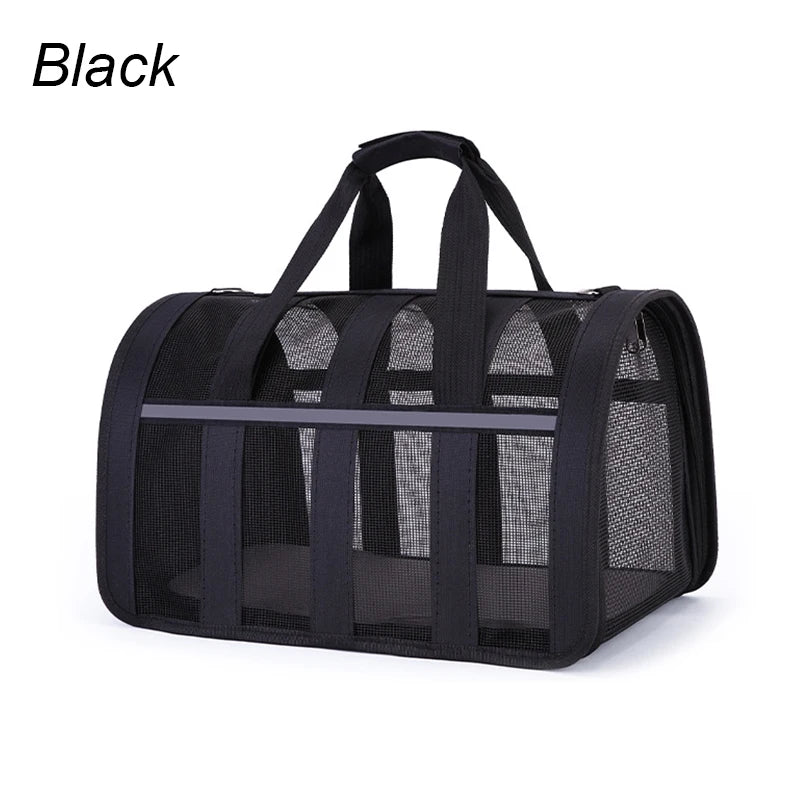 S674cce48fbe74740b36c1269ecced447d