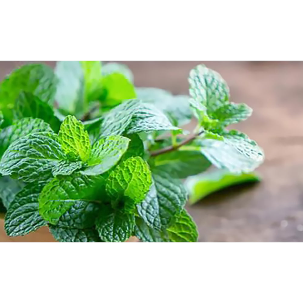 Thousand Li of Rivers and Mountains Flower Fruit Fragrance Scented Candle-7