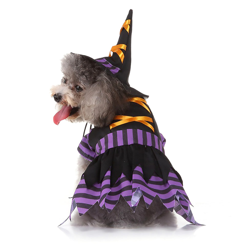 Halloween Witch Pet Costume Purple Dress for Dogs and Cats-2