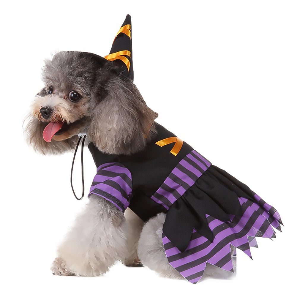 Halloween Witch Pet Costume Purple Dress for Dogs and Cats-3