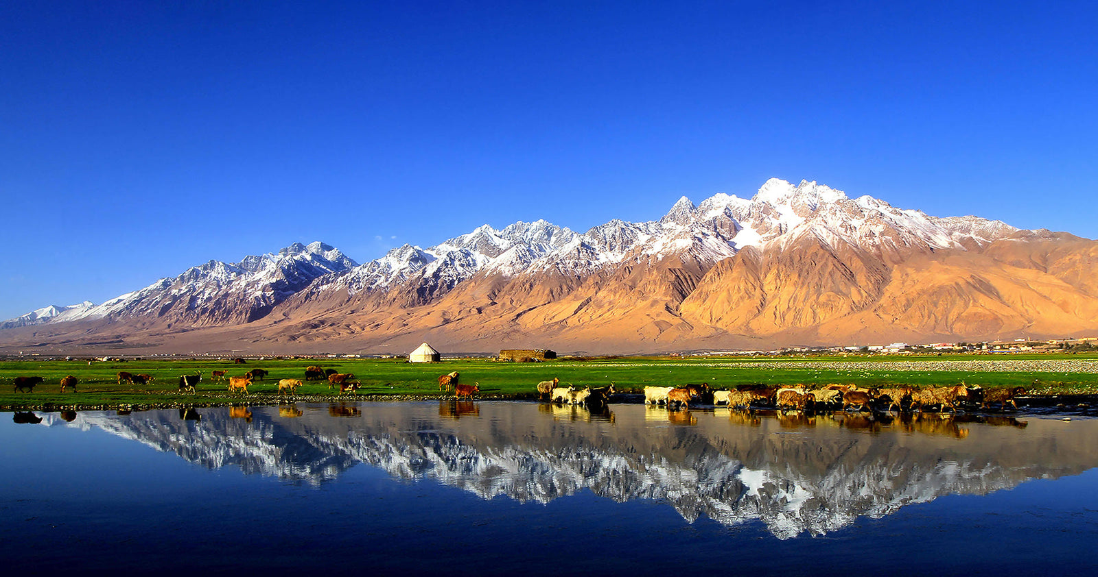 The Vibrant Life of Uyghurs: Music, Food, and Traditions in Xinjiang, China-Cover Image