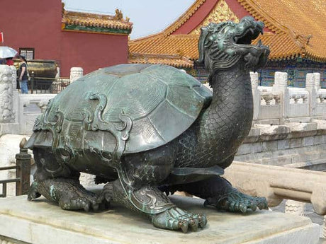 Dragon Turtle Feng Shui Therapy in Chinese Culture