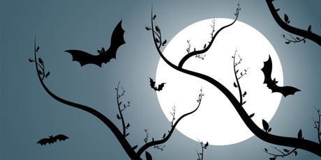 The Symbolism and Application of Bats in Chinese Culture and Feng Shui