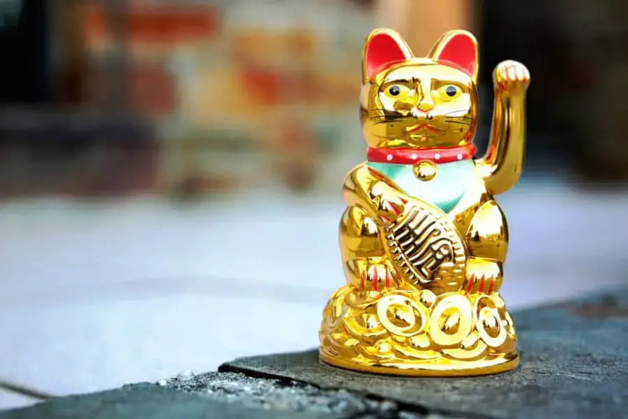 Interesting facts about the lucky cat