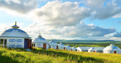 Life on the Grasslands: Mongols and Kazakhs of Northern China-Cover Image