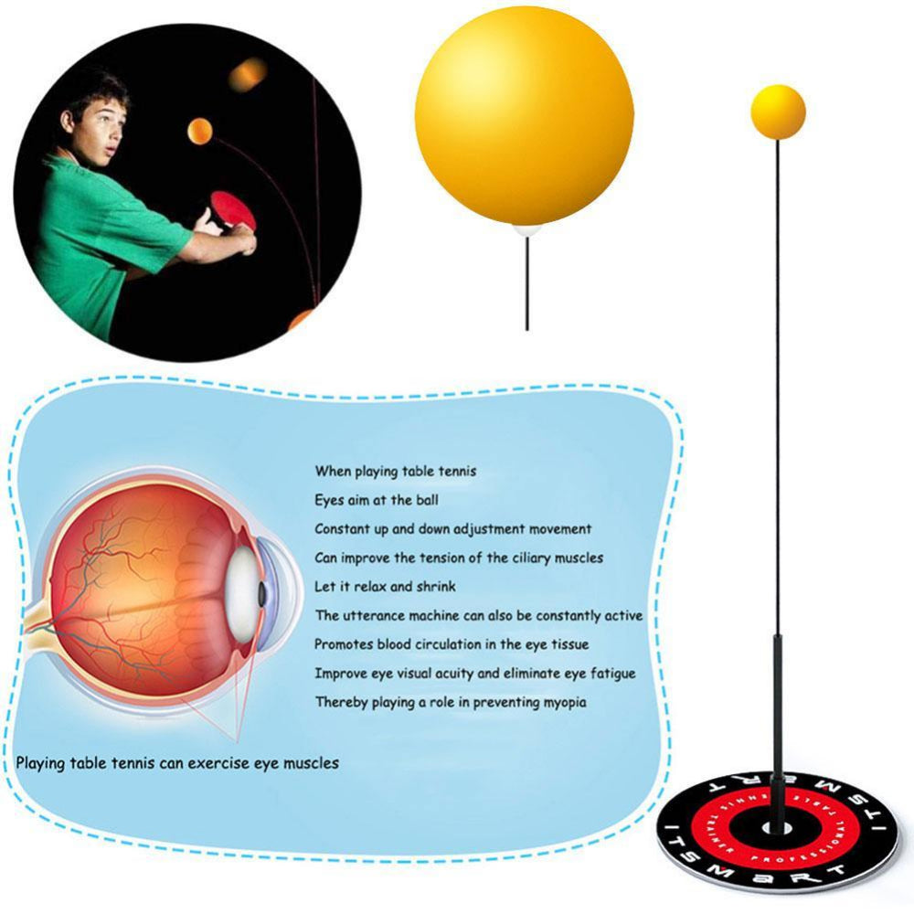 Table Tennis Training Device