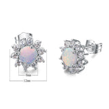 Zircon Stud Earrings in Sterling Silver 925 Earrings