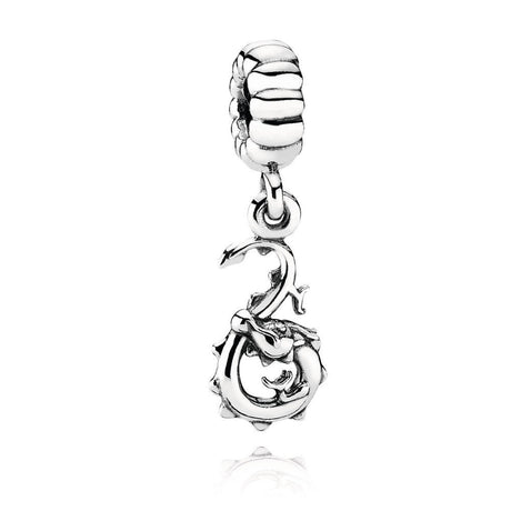 925 Sterling Silver Chinese Zodiac Charms–5
