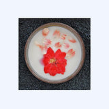 Living Aesthetics Dried Flowers Long Lasting Scented Candle Ceramic Cup-12