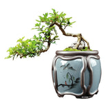 Vereinfachte Celadon Blumentopf im chinesischen Stil