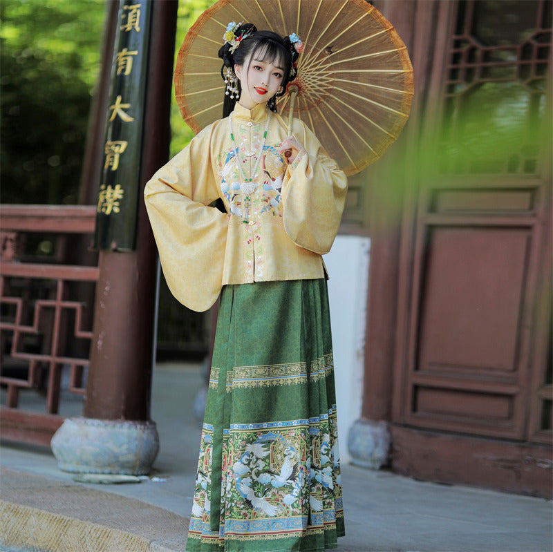 Ming Dynasty women's Hanfu new style full set of horse-faced skirt stand-up collar and mid-sleeved jacket