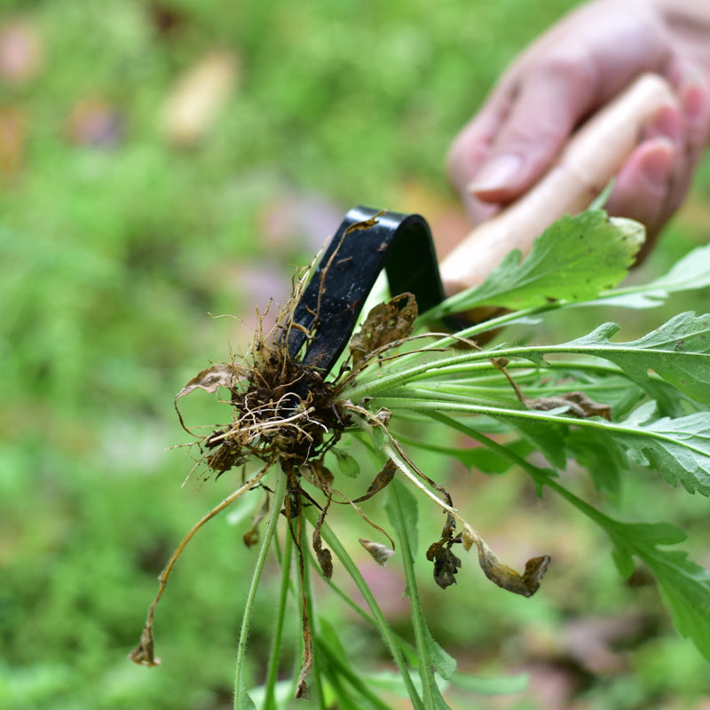 Garden Tool Weeding and Seedling Rooting Device
