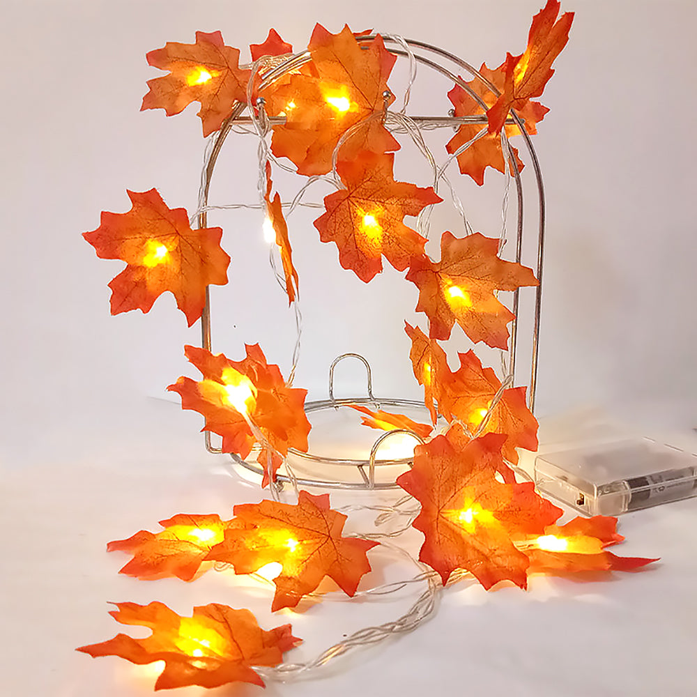 Thanksgiving Pumpkin Maple Leaf String Lights for Fall Home Decor-video