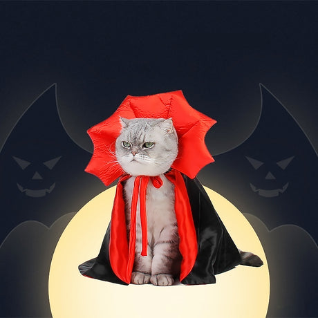 Halloween Reversible Pet Costume for Cats and Dogs Black Red Cape-video